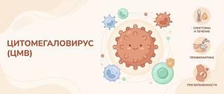 Цитомегаловирус (ЦМВ): расшифровка IgG, IgM и авидности