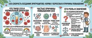 СОЭ: норма у женщин и мужчин по возрасту, причины повышения