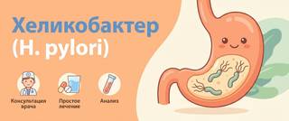 Хеликобактер (H. pylori): анализы и что значит положительный