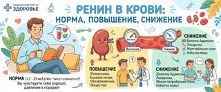 Ренин в крови: норма, причины повышения и снижения