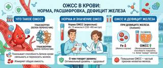 ОЖСС в крови: норма, расшифровка и связь с дефицитом железа