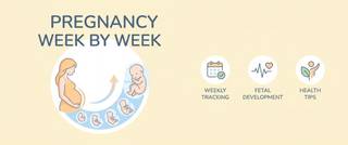 Pregnancy Week by Week: What Happens and Which Tests