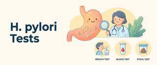 H. pylori Tests: the Breath Test, Stool and Blood Test