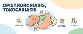 Opisthorchiasis and Toxocariasis: Symptoms, Tests, Treatment