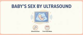 Baby's Sex by Ultrasound: When and How Accurate It Is