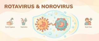 Rotavirus and Norovirus: Symptoms, Contagiousness, Vaccine