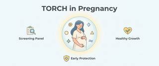 TORCH Infections in Pregnancy: Reading the Test and Norms