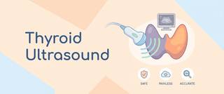 Thyroid Ultrasound: What It Shows, Normal Values and Results