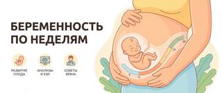 Беременность по неделям: что происходит и какие анализы