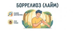 Боррелиоз (болезнь Лайма): симптомы, эритема, анализы