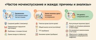 Частое мочеиспускание и жажда: причины и какие анализы сдать