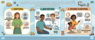Аллергия на клещей домашней пыли: симптомы, диагностика и лечение