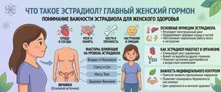Эстрадиол: нормы по фазам цикла, причины отклонений