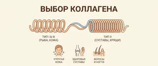 Какой коллаген выбрать: типы 1, 2, 3 и как принимать