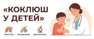 Коклюш: симптомы у детей и взрослых, кашель и лечение