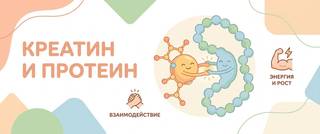 Креатин и протеин: какую форму выбрать и как принимать