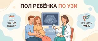 Пол ребёнка по УЗИ: на каком сроке и насколько точно