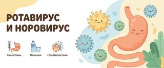 Ротавирус и норовирус: симптомы, сколько заразен, вакцина