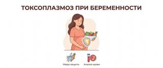 Токсоплазмоз: симптомы, при беременности и анализы IgG