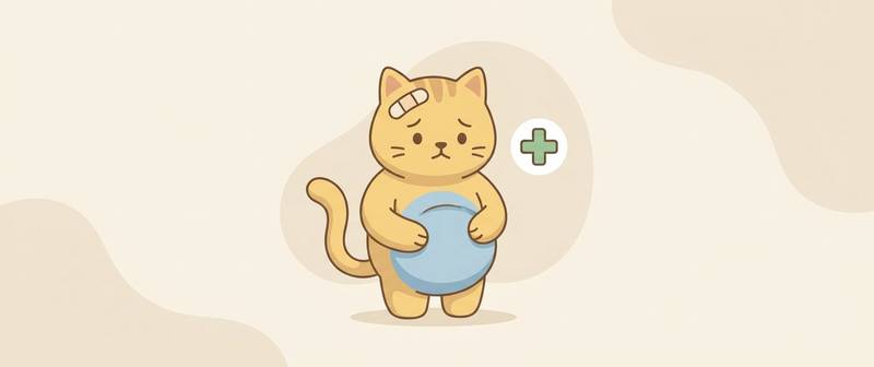 Vomiting and Diarrhoea in Cats: Causes and What Tests