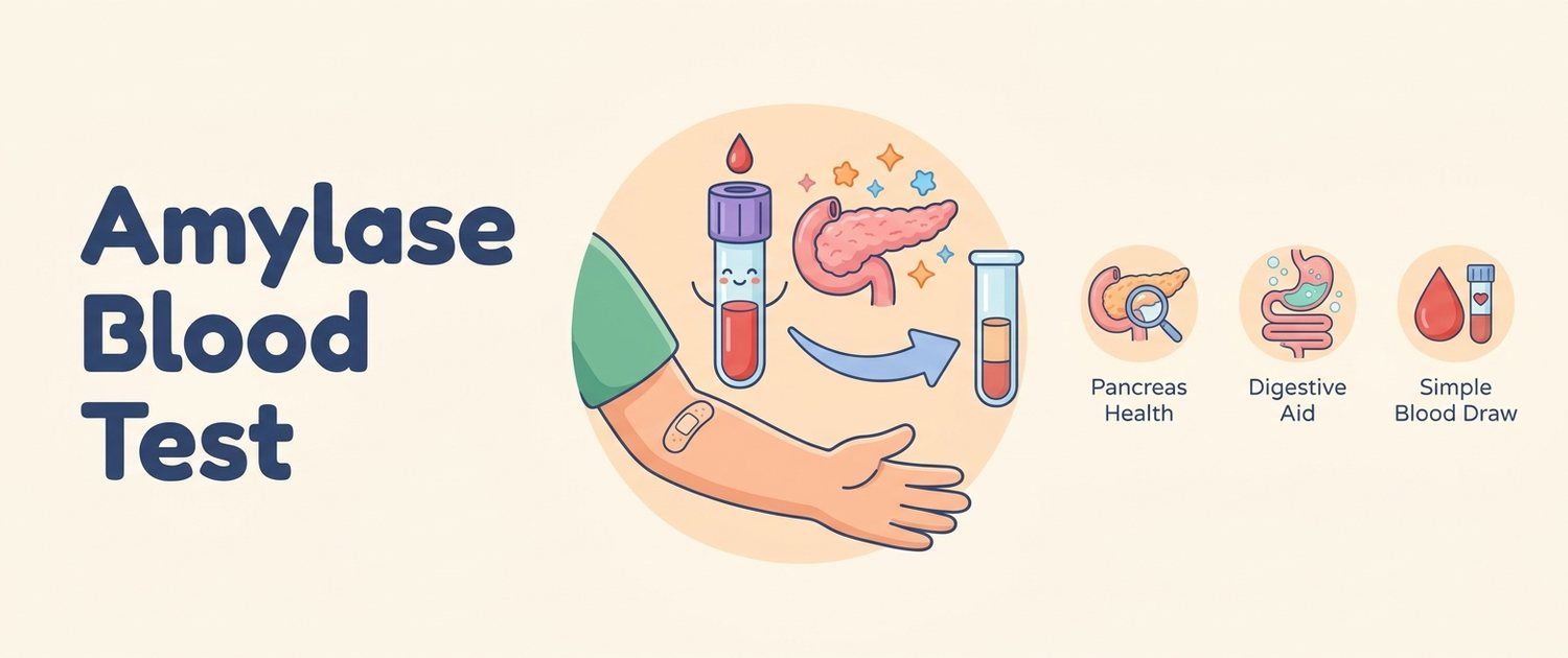 Amylase Blood Test: Normal Range, Causes and Interpretation