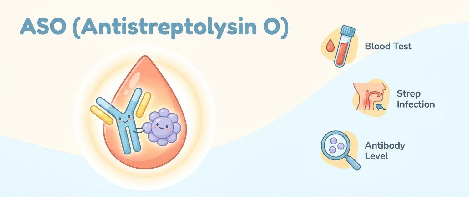 ASO (Antistreptolysin O): What an Elevated Result Means