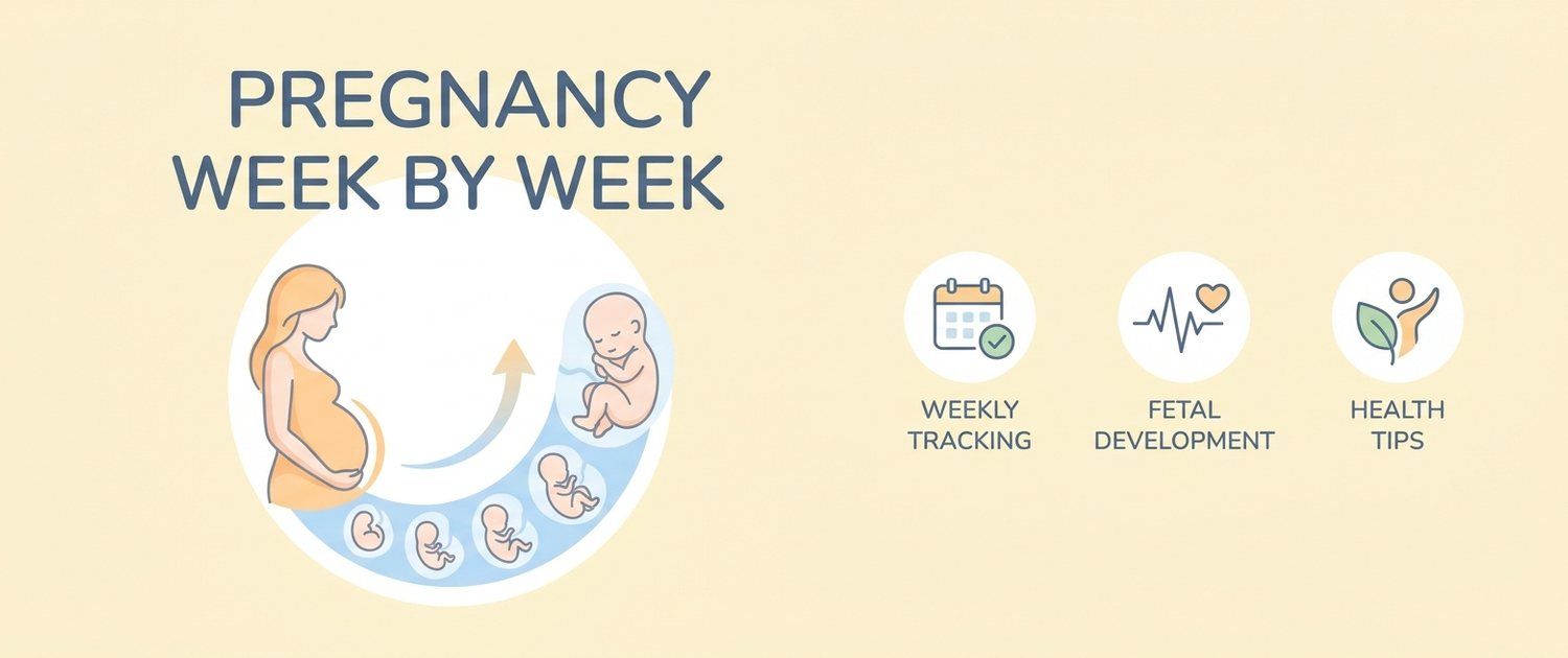 Pregnancy Week by Week: What Happens and Which Tests