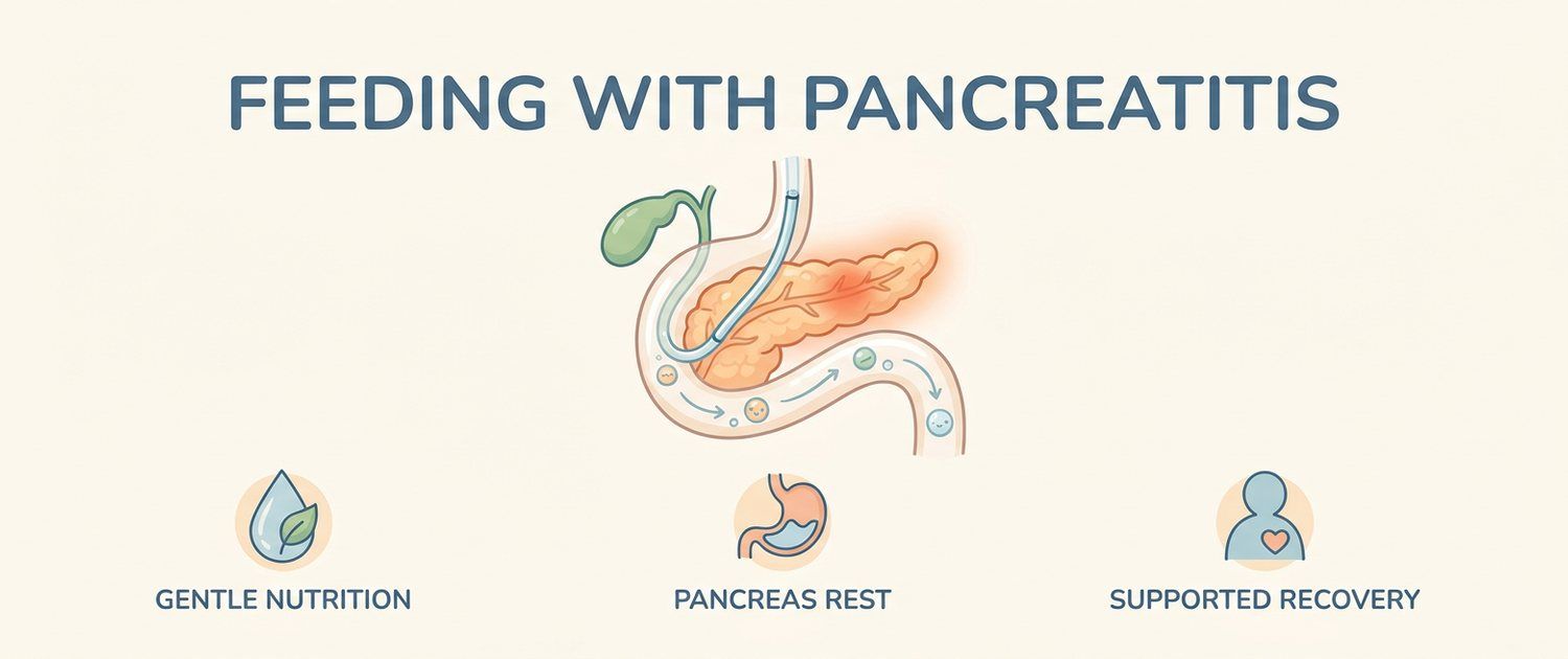 Feeding a Dog With Pancreatitis: Fat, Portions and Treats