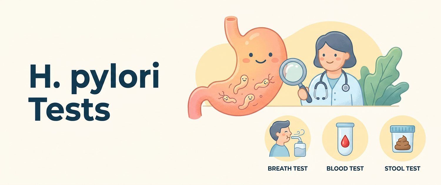 H. pylori Tests: the Breath Test, Stool and Blood Test