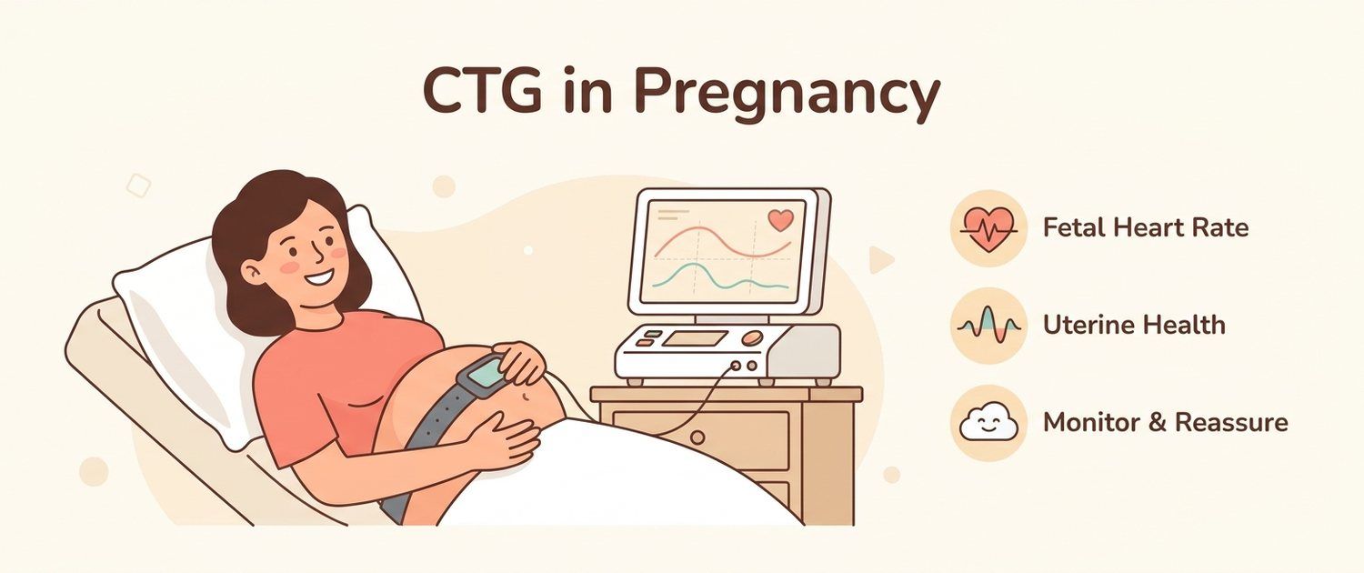 CTG in Pregnancy: What It Shows, Timing and Results