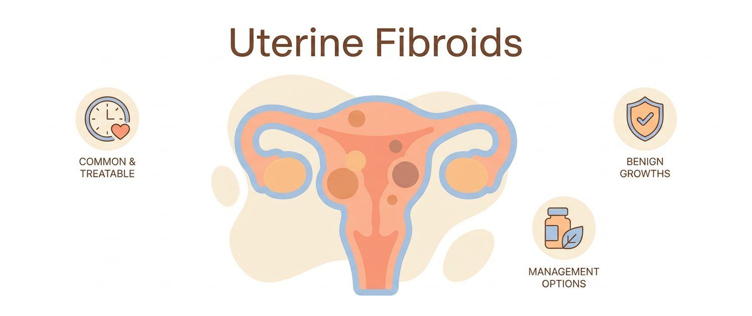 Uterine Fibroids: Types, Sizes, Symptoms and Pelvic Ultrasound