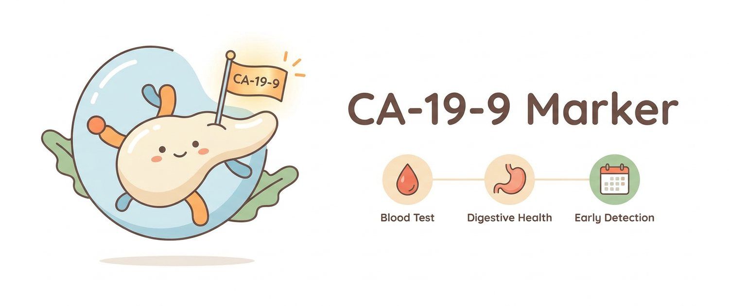 Tumor Marker CA-19-9: What It Means and Why It Rises