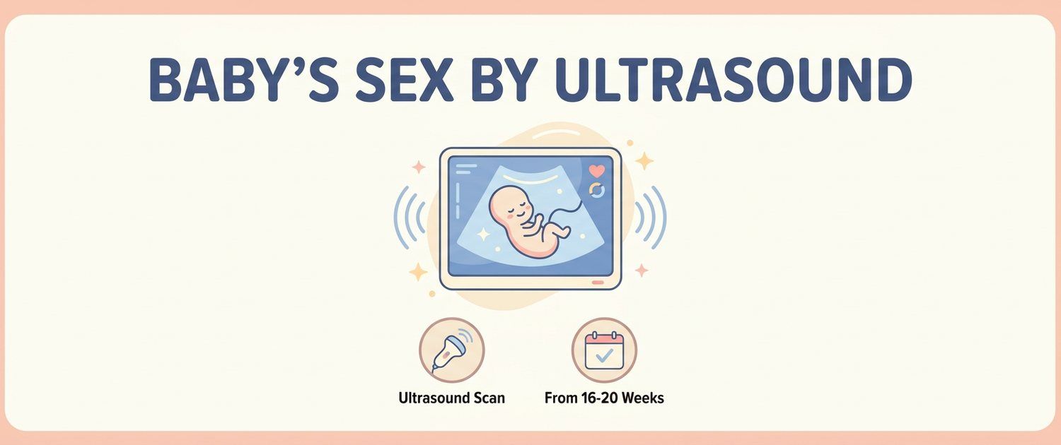 Baby's Sex by Ultrasound: When and How Accurate It Is