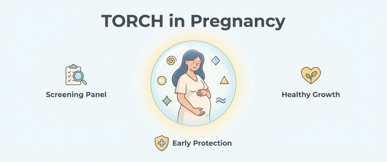 TORCH Infections in Pregnancy: Reading the Test and Norms