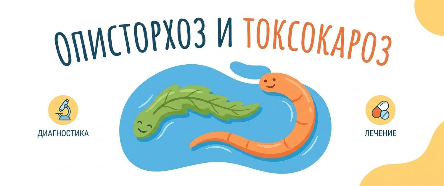 Описторхоз и токсокароз: симптомы, анализы и лечение