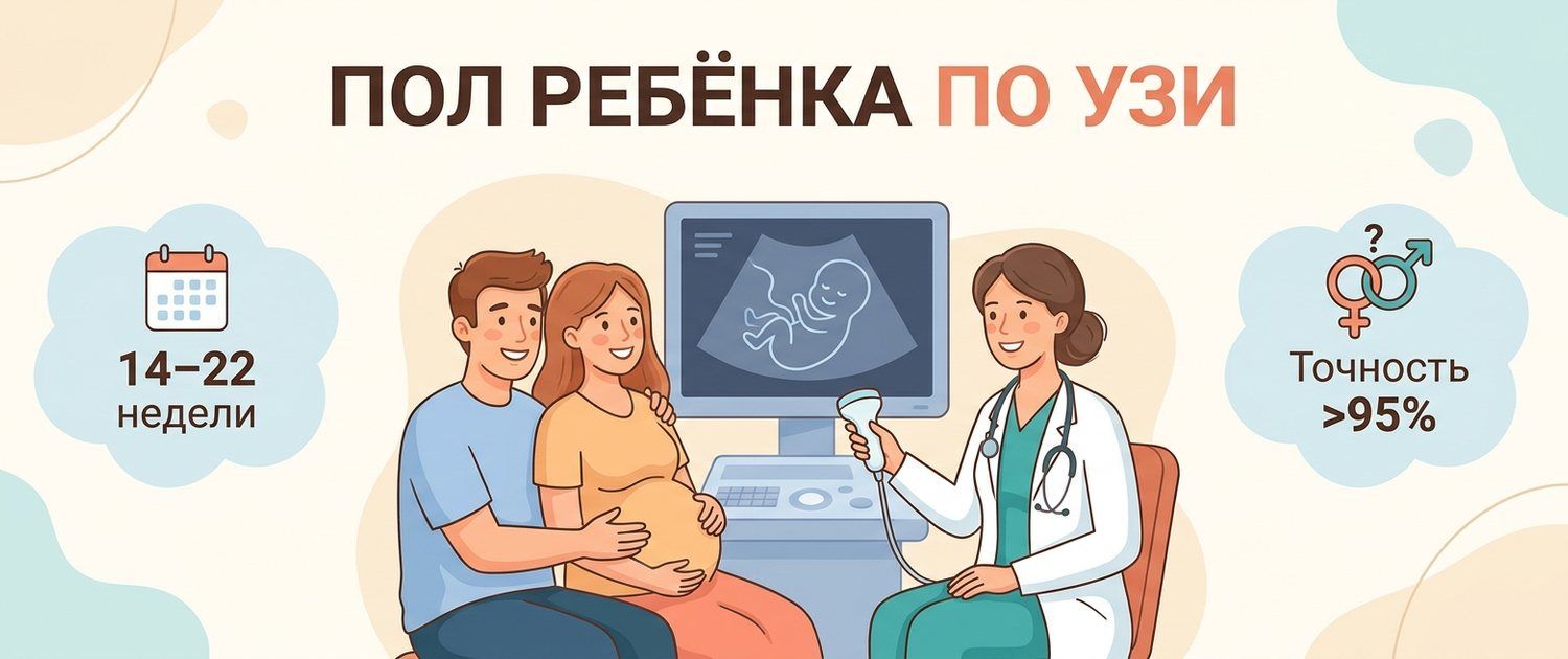 Пол ребёнка по УЗИ: на каком сроке и насколько точно