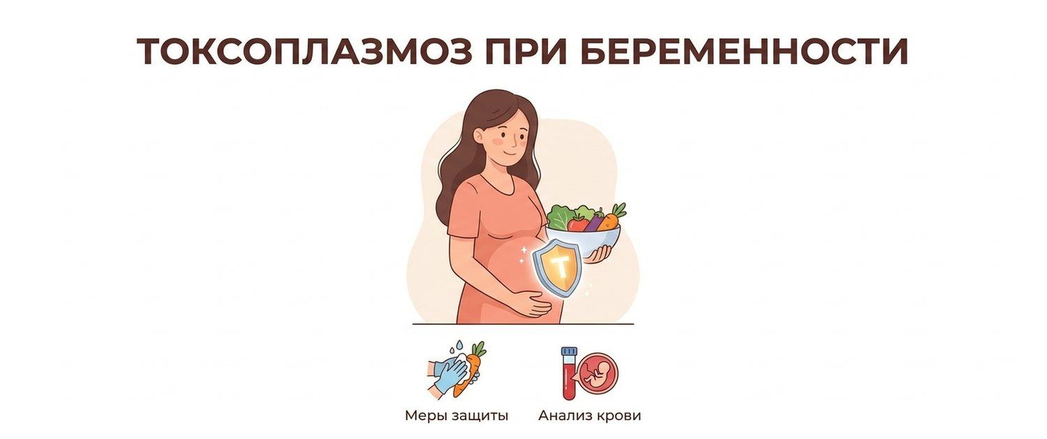 Токсоплазмоз: симптомы, при беременности и анализы IgG