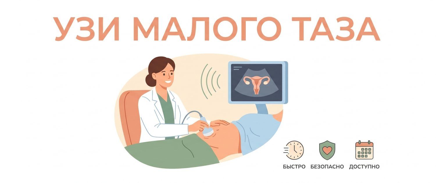 УЗИ малого таза: что показывает у женщин и мужчин, расшифровка