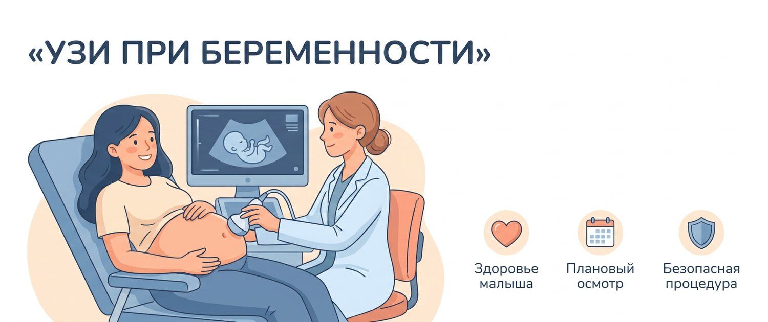УЗИ при беременности: сроки, что показывает и расшифровка