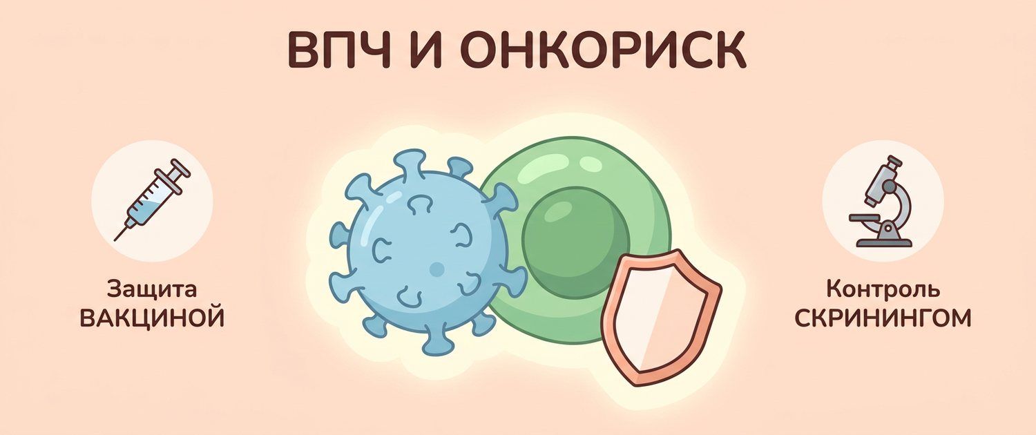 ВПЧ: онкориск, кондиломы, рак шейки матки и прививка