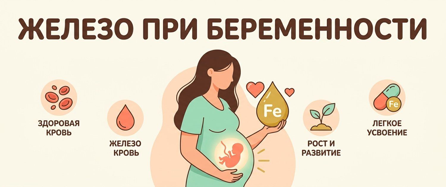 Железо при беременности: дозы, дефицит и как принимать