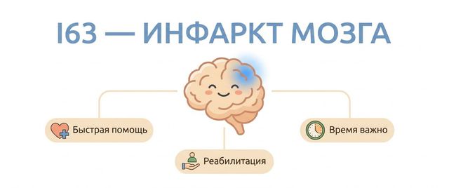 I63 — инфаркт мозга: что означает код МКБ-10 ишемического инсульта