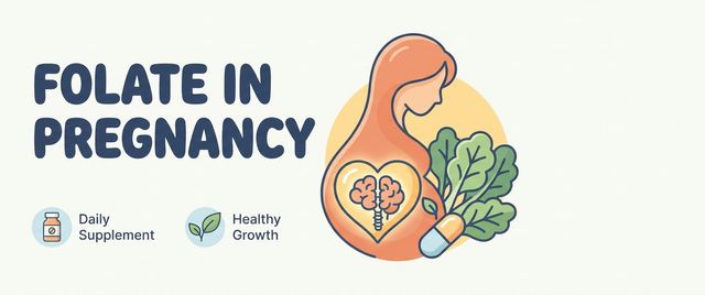 Folic Acid in Pregnancy: Doses and When to Take It