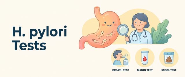 H. pylori Tests: the Breath Test, Stool and Blood Test
