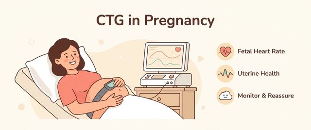 CTG in Pregnancy: What It Shows, Timing and Results