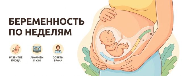 Беременность по неделям: что происходит и какие анализы