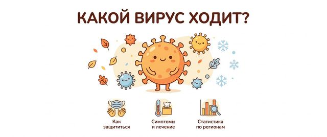 Какой вирус сейчас ходит: симптомы, чем лечить и что делать