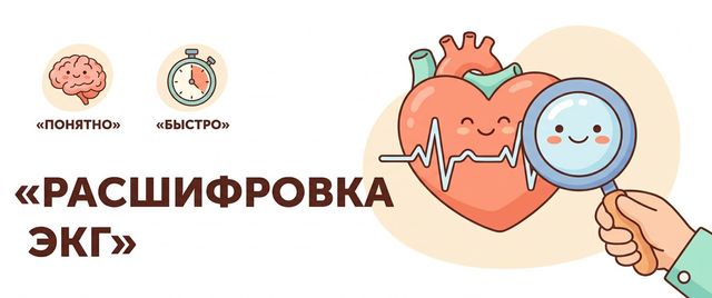 Расшифровка ЭКГ: показатели, нормы, зубцы и что они значат