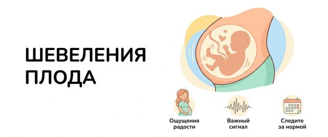 Шевеления плода: когда начинаются, норма и как их считать