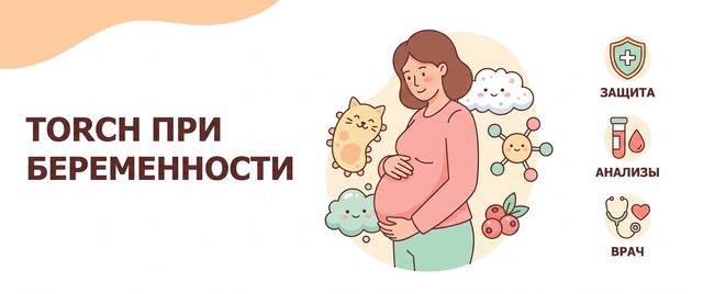 TORCH инфекции при беременности: расшифровка и нормы